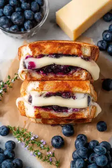 Blueberry Brie Grilled Cheese Sandwich